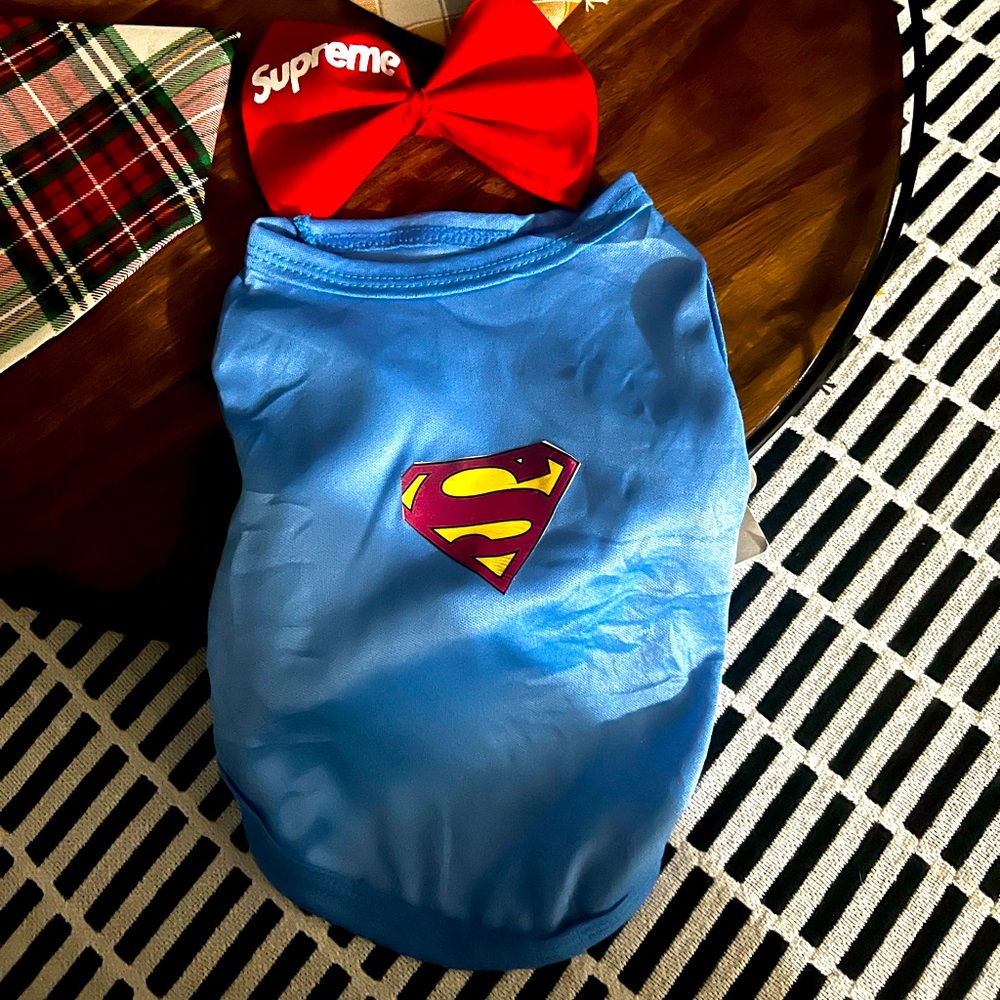 Superman doggie shirt comes with dog bow